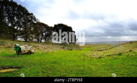 I bastioni difensivi di Badbury Rings, Dorset - John Gollop Foto Stock