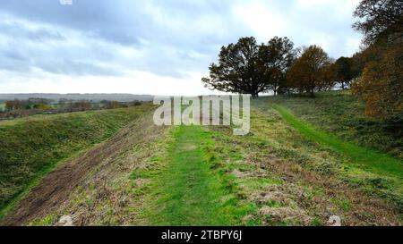 I bastioni difensivi di Badbury Rings, Dorset - John Gollop Foto Stock