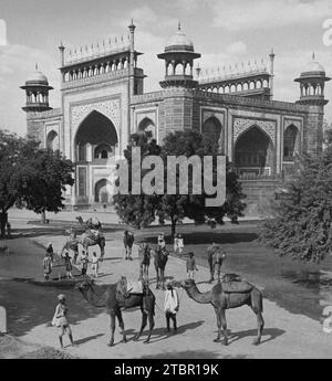 Cammelli in attesa sul lato sud-est di Darwaza-i-Rauza (porta d'ingresso) per il famoso Taj Mahal, Agra, India. 1903. Di Underwood & Underwood. Foto Stock