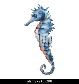 Cavallucci marini blu con pinna in turchese e corallo. Illustrazione ad acquerello disegnata a mano. Animali marini, mondo sottomarino, frutti di mare. Oggetto isolato su un Foto Stock
