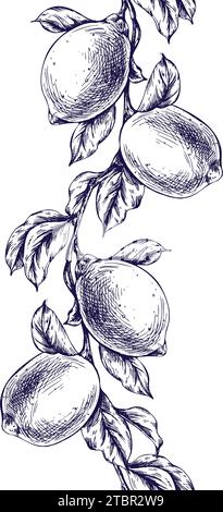 Limoni succosi, maturi con foglie, boccioli di fiori sui rami, interi e a fette. Illustrazione grafica botanica disegnata a mano in inchiostro blu. Bordo senza cuciture Illustrazione Vettoriale