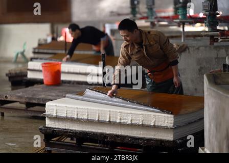 (231208) -- JINGXIAN, 8 dicembre 2023 (Xinhua) -- Guan Jiaming controlla la pasta di carta condensata in un laboratorio di carta Xuan nella contea di Jingxian, nella provincia di Anhui della Cina orientale, 7 dicembre 2023. La carta Xuan, un tipo di carta fatta a mano, era originariamente prodotta nell'antica Cina e utilizzata sia per calligrafia cinese che per dipinti. La procedura di creazione della carta di Xuan è stata elencata come patrimonio culturale immateriale mondiale dall'UNESCO nel 2009. Jingxian, una contea sotto la città di Xuancheng nella provincia di Anhui, è il luogo in cui è stata inventata la carta Xuan. Guan Jiaming, responsabile del processo di stampaggio della carta in un'officina Foto Stock