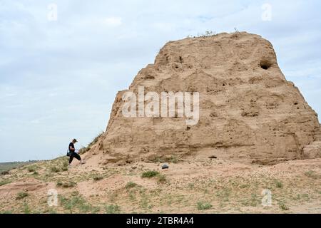 (231208) -- YANCHI, 8 dicembre 2023 (Xinhua) -- Gao Wandong documenta una torre di fumo dell'antica grande Muraglia nel suo tronco nella contea di Yanchi, regione autonoma Ningxia Hui della Cina nord-occidentale, 17 agosto 2023. La contea di Yanchi, conosciuta come "Museo della grande Muraglia", ospita una sezione di 259 km dell'antica grande Muraglia. Chen Jing e suo marito Gao Wandong si sono impegnati a documentare la sezione Yanchi dell'antico grande muro dal 2008. Finora, hanno percorso oltre 100.000 km e scattato più di 100.000 foto durante l'esplorazione. La coppia ha anche pubblicato un album fotografico e lanciato Am Foto Stock