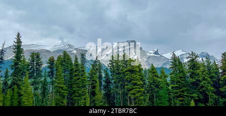 Un panorama di montagne coperte di ghiacciai lungo la Maligne Lake Road nel Jasper National Park vicino a Jasper, Alberta Canada, in una giornata nuvolosa. Foto Stock