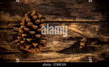 Coni di pino su una vecchia tavola di legno Foto Stock