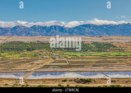 Vista panoramica delle saline sull'isola di pag Foto Stock