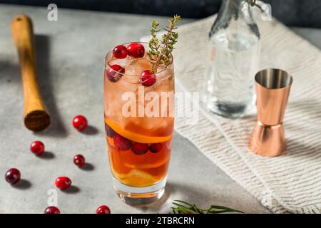 Cocktail di mirtilli rossi di Natale sotto il Mistletoe con gin Foto Stock