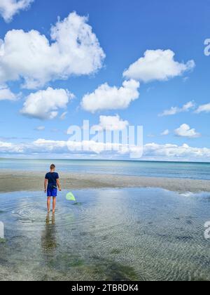 Germania, Meclemburgo-Pomerania occidentale, penisola Fischland-Darß-Zingst, ragazzo adolescente con rete di atterraggio in acqua nella località balneare del Baltico Prerow Foto Stock