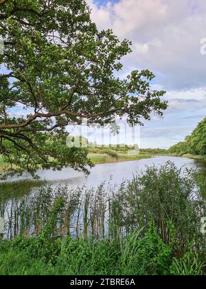 Veduta del torrente Prerow nel Mar Baltico località di Prerow, penisola di Fischland-Darß-Zingst, Meclemburgo-Pomerania occidentale, Germania Foto Stock