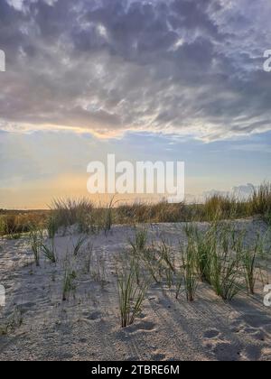 Germania, Meclemburgo-Pomerania occidentale, penisola Fischland-Darß-Zingst, vegetazione dune e spiaggia di erba sulla spiaggia di Prerow alla luce della sera Foto Stock