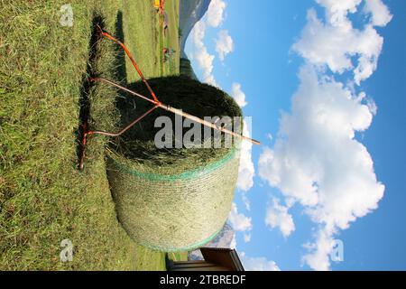 Fieno, balle rotonde, rastrello, rastrello ferroviario di fronte ai monti Karwendel vicino a Mittenwald, Isar Valley, alta Baviera, Baviera, Germania Foto Stock