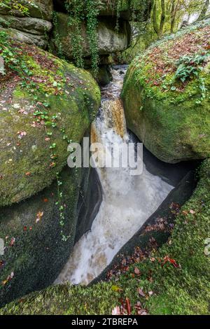 Francia, Bretagna, Huelgoat, cascata le Gouffre tra rocce granitiche mosche nella foresta autunnale di Huelgoat Foto Stock