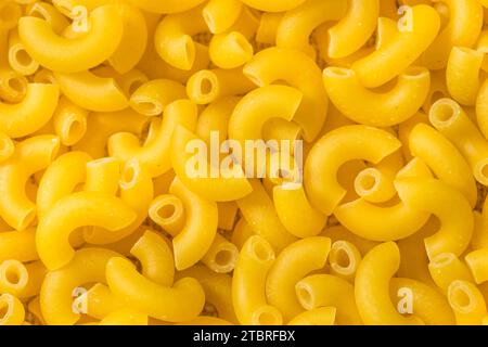Tagliatelle crude di maccheroni crude biologiche in ciotola Foto Stock