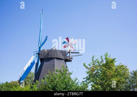 Paula Windmill, Steinhude, Wunstorf, bassa Sassonia, Germania, Europa Foto Stock