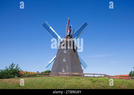 Paula Windmill, Steinhude, Wunstorf, bassa Sassonia, Germania, Europa Foto Stock