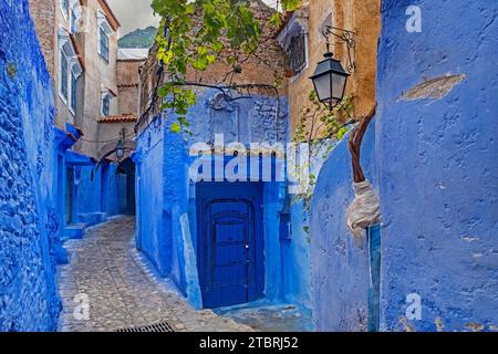 Vicolo stretto con mura blu, case e porte in medina / centro storico della città di Chefchaouen / Chaouen, Marocco Foto Stock