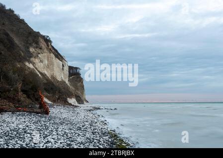 Spiaggia sulla scogliera di Möns Klint, scogliere di gesso, isola di Mön, Danimarca Foto Stock