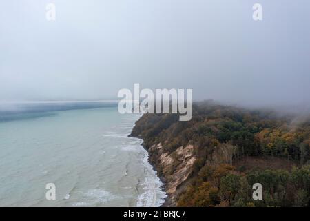 Faggio e altri alberi decidui sulle scogliere di Möns Klint, isola di Mön, Danimarca Foto Stock