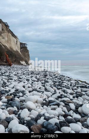 Spiaggia sulla scogliera di Möns Klint, scogliere di gesso, isola di Mön, Danimarca Foto Stock