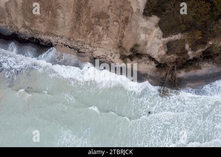 Albero caduto vicino alle scogliere di Möns Klint, surf del Mar Baltico, isola di Mön, Danimarca Foto Stock