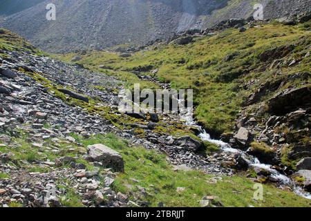 Percorso suggestivo del torrente Seebach sul sentiero escursionistico per Hundstaller SEE (2289 m), escursione nei pressi di Inzing, Innsbruck Land, Stubai Alps, Tirolo, Austria Foto Stock