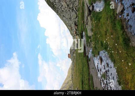 Percorso suggestivo del torrente Seebach sul sentiero escursionistico fino a Hundstaller SEE (2289 m), pecore di montagna che pascolano in pace, tour escursionistico vicino a Inzing, i Foto Stock