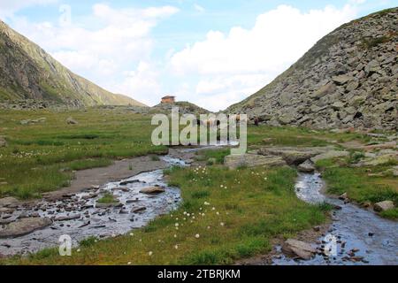 Percorso suggestivo del torrente Seebach sul sentiero escursionistico fino a Hundstaller SEE (2289 m), pecore di montagna che pascolano in pace, tour escursionistico vicino a Inzing, i Foto Stock