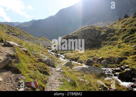 Percorso suggestivo del torrente Seebach sul sentiero escursionistico per Hundstaller SEE (2289 m), escursione nei pressi di Inzing, Innsbruck Land, Stubai Alps, Tirolo, Austria Foto Stock