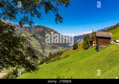 Vista dal Fröstlbergweg a Wörth, con le Alpi Berchtesgaden sullo sfondo, Steinernes Meer, Rauris, Raurisertal, Pinzgau, Salzburger Land, Austria Foto Stock