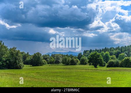 Germania, Baviera, terra di Tölzer, Geretsried, distretto di Gelting, Loisachtal, ai piedi delle Alpi Foto Stock