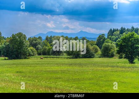 Germania, Baviera, terra di Tölzer, Geretsried, distretto di Gelting, Loisachtal, ai piedi delle Alpi Foto Stock