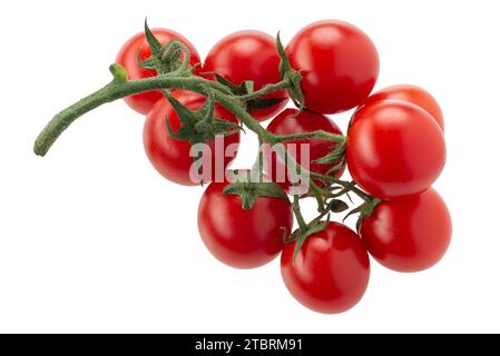 Mazzo di pomodori Piccadilly ciliegia isolato su bianco, percorso di ritaglio incluso Foto Stock