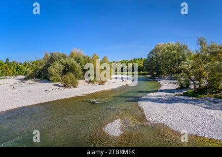 Germania, Baviera, Monaco, Sendling, Isar Valley, Flaucher, braccio Isar, vista da Flauchersteg Foto Stock