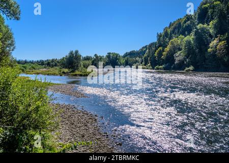 Germania, Baviera, Tölzer Land, Egling, distretto di Aumühle, valle dell'Isar, estuario del Loisach Foto Stock