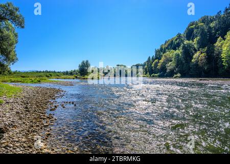 Germania, Baviera, Tölzer Land, Egling, distretto di Aumühle, valle dell'Isar, estuario del Loisach Foto Stock