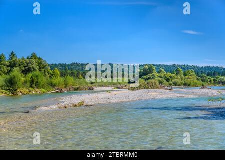 Germania, Baviera, Terra di Tölzer, Egling, distretto di Aumühle, valle dell'Isar vicino alla foce del fiume Loisach Foto Stock