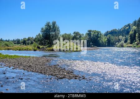 Germania, Baviera, Tölzer Land, Egling, distretto di Aumühle, valle dell'Isar, estuario del Loisach Foto Stock