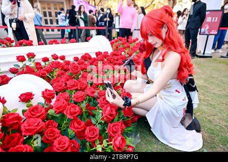 Shanghai, Cina. 8 dicembre 2023. Game Honkai: Star Rail e la Beijing Academy of Garden Sciences esporranno una nuova varietà di rose a Shanghai, in Cina, l'8 dicembre 2023. (Foto di Costfoto/NurPhoto) credito: NurPhoto SRL/Alamy Live News Foto Stock
