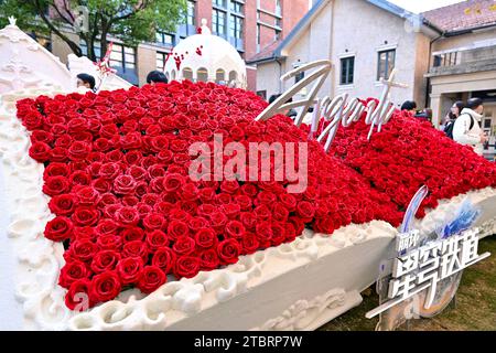 Shanghai, Cina. 8 dicembre 2023. Game Honkai: Star Rail e la Beijing Academy of Garden Sciences esporranno una nuova varietà di rose a Shanghai, in Cina, l'8 dicembre 2023. (Foto di Costfoto/NurPhoto) credito: NurPhoto SRL/Alamy Live News Foto Stock
