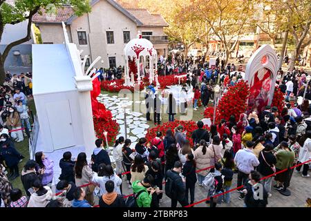 Shanghai, Cina. 8 dicembre 2023. Game Honkai: Star Rail e la Beijing Academy of Garden Sciences esporranno una nuova varietà di rose a Shanghai, in Cina, l'8 dicembre 2023. (Foto di Costfoto/NurPhoto) credito: NurPhoto SRL/Alamy Live News Foto Stock