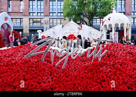 Shanghai, Cina. 8 dicembre 2023. Game Honkai: Star Rail e la Beijing Academy of Garden Sciences esporranno una nuova varietà di rose a Shanghai, in Cina, l'8 dicembre 2023. (Foto di Costfoto/NurPhoto) credito: NurPhoto SRL/Alamy Live News Foto Stock
