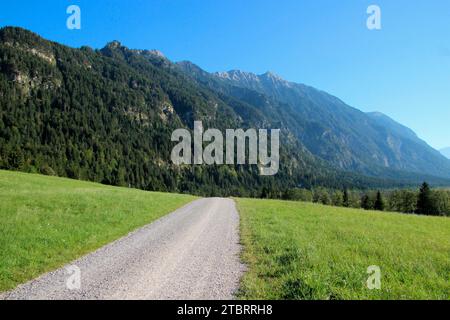 Sentiero nei pressi di Eschenlohe fino alle sette sorgenti, Eschenlohe, alta Baviera, valle del Loisach, Baviera, Germania, Europa Foto Stock