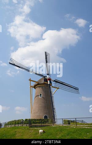 Windmill De Eersteling, Hoofddorp, Haarlemmermeer, Olanda settentrionale, Paesi Bassi Foto Stock