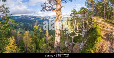 Breitenstein, vista dal monte Luckerte Wand (Luckete Wand), vista sulle montagne Rax (sinistra) e Schneeberg (destra) nelle Alpi di Vienna, bassa Austria, Aust Foto Stock