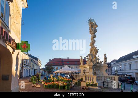 Mödling, piazza Freiheitsplatz, colonna della peste, mercato settimanale a Vienna Woods (Wienerwald), bassa Austria, Austria Foto Stock