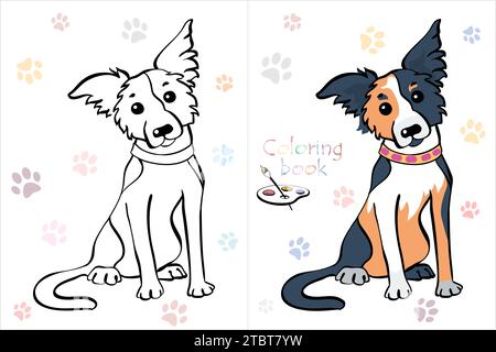 Pagina Vector Coloring Book della razza Dog Border Collie tricolored dog sitting Illustrazione Vettoriale