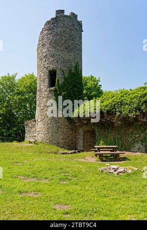 Le rovine del castello di Ebersburg vicino a Ebersberg nella riserva della biosfera di Rhön, comune di Ebersburg, distretto di Fulda, Assia, Germania Foto Stock