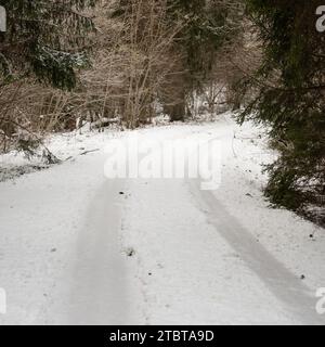 Le tracce sulla neve intrecciano la storia di attraversare questi sentieri boschivi soleggiati, con ogni impronta di pneumatici che narra un'avventura ventosa. Foto Stock