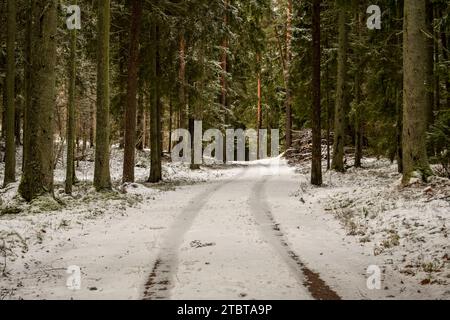 Ogni pista di pneumatici su questa strada innevata sussurra storie di viaggiatori che sfidano boschi di sabbia adornati da una quiete assolata. Foto Stock