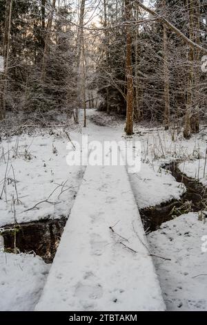 Viaggiando lungo sentieri in legno baciati dalla neve, abbracciati dai sereni sussurri del vino di Pokainu Mezs, Dobele, Latvija. Foto Stock